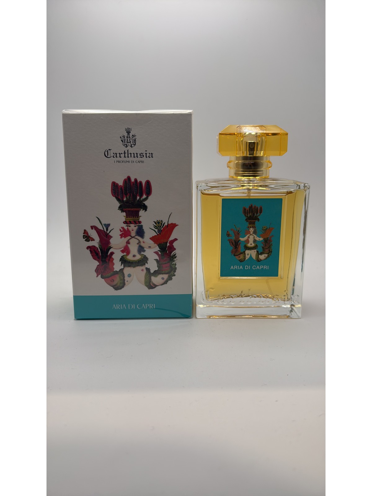 ARIA DI CAPRI 100 ml