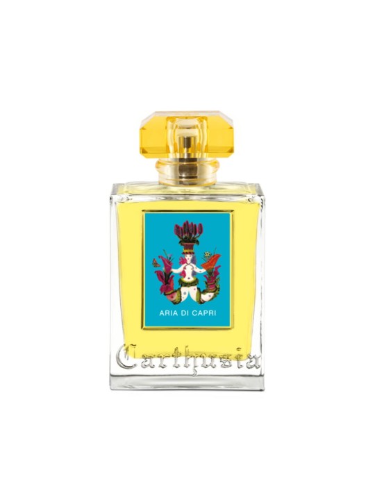 ARIA DI CAPRI 100 ml
