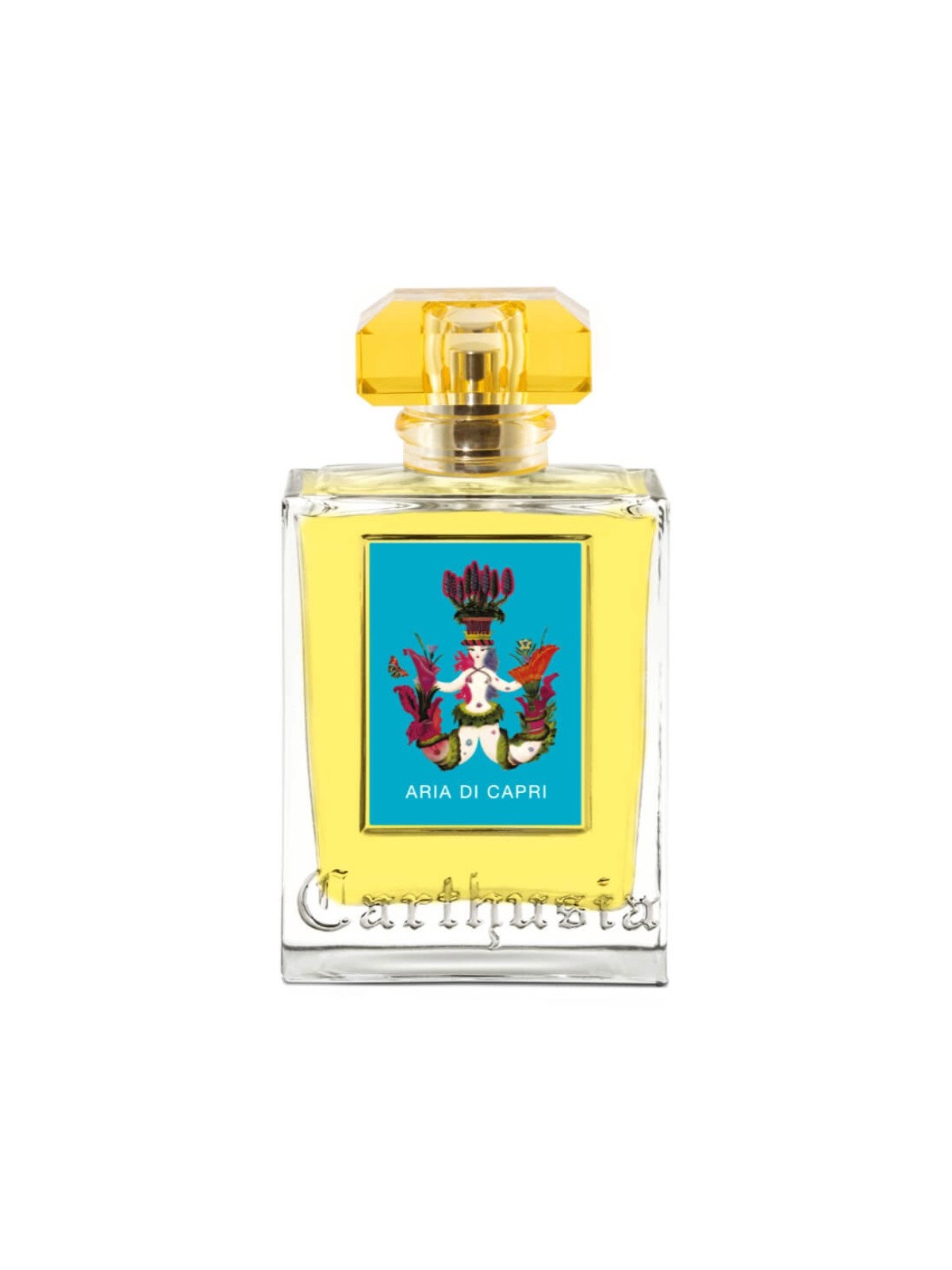 ARIA DI CAPRI 100 ml