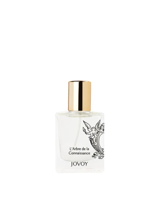 L'Ambre de la Connaissance 15 ml