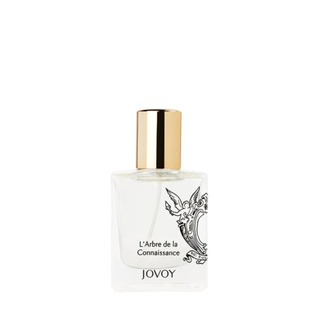 L'Ambre de la Connaissance 15 ml