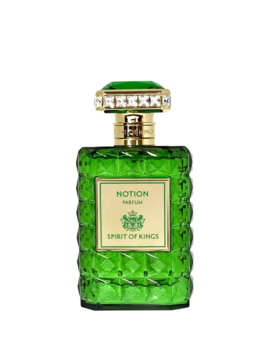NOTION 100 ml